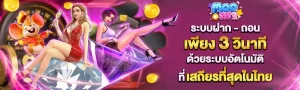 moo555 เข้าสู่ระบบ